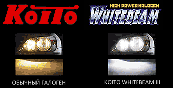 galogen lamp koito whitebeam